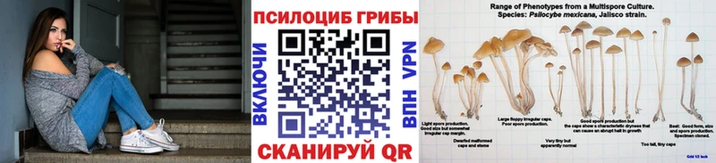 Псилоцибиновые грибы GOLDEN TEACHER  купить закладку  shop клад  Октябрьск 